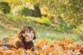 Pretty young woman with short wavy brunette hair lying at ground covered with fallen orange leaves. Magic beautiful Royalty Free Stock Photo