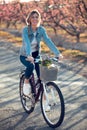 Pretty young woman with a vintage bike looking at camera in cherry field in springtime Royalty Free Stock Photo