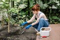 Pretty young woman wearing jeans overalls and blue gloves working with garden shovel, planting little tree in modern Royalty Free Stock Photo