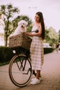 Young woman with white bichon frise dog in the basket of electric bike Royalty Free Stock Photo