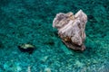 Preveli Beach with Palms park on Crete island, Greece.