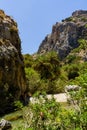 PREVELI, CRETE - JULY 21 2021: Crowds of people exploring the natural palm forest and sandy beach at Preveli on the southern coast Royalty Free Stock Photo