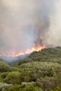 Prevelly Beach Bushfire