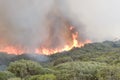 Prevelly Beach Bushfire