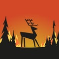 Prevent forest fires flat color vector icon