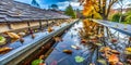 Preventing Flat Roof Water Damage Understanding Drainage Issues and Gutter Blockages After Heavy Rainfall