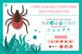 Preventing tick bite and lyme disease vector illustration