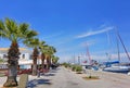 Preveza city dock boats palm trees in spring season greece