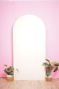 PREWEDDING BACKGROUND SET PINK