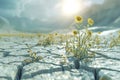 The Price of Change Desiccated Fields, Melting Glaciers