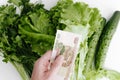 Price for eco vegetables, buying healthy organic food, shopping concept. Human hand holding money one banknote