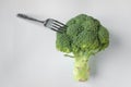 Prick green bunch of broccoli on a silver fork. White background. Vegan and raw food diet concept. Space for text.