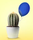 Prickly cactus and blue balloon on yellow background Royalty Free Stock Photo
