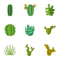 Prickly cactus icons set, cartoon style Royalty Free Stock Photo