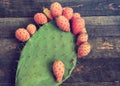 Prickly and delicious. Opuntia cactus with large flat pads and red thorny edible fruits. Cactaceae. Prickly pears fruit Royalty Free Stock Photo