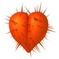 A prickly heart Royalty Free Stock Photo
