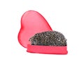 Prickly hedgehog in a gift box in the shape of a heart Royalty Free Stock Photo