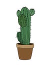 Cactus interior house plant in flower pot vector.