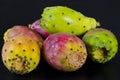 Prickly pear Royalty Free Stock Photo