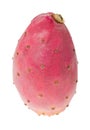 Prickly pear Royalty Free Stock Photo