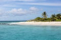 Prickly Pear in Anguilla Beach, Caribbean Royalty Free Stock Photo