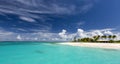 Prickly Pear in Anguilla Beach, Caribbean Royalty Free Stock Photo