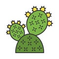 Prickly pear cactus color icon