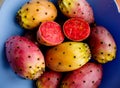 Prickly pear cactus colorful fresh ripe fruits in bowl. Opuntia fichi d`india Royalty Free Stock Photo