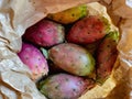 Prickly pear cactus colorful fresh ripe whole and cut fruits in brown paper bag. Royalty Free Stock Photo