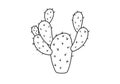 Prickly pear cactus drawing Royalty Free Stock Photo