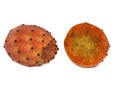 Prickly pear cactus fruit cross section Royalty Free Stock Photo