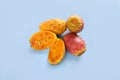 Prickly pear cactus fruit ripe. Opuntia ficus-indica on blue background closeup in cut.