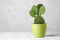 Prickly pear cactus opuntia in a green pot on a white table. Royalty Free Stock Photo