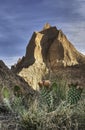 Prickly Pear Cactus and Peaks