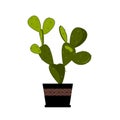 Prickly pear cactus in pot, traditional Mexican plant. Cactus flat vector illustration on white. Home flower in pot