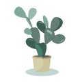 Prickly Pear Cactus. A potted plant isolated on white, vector illustration