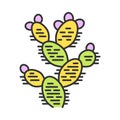 Prickly pear color icon