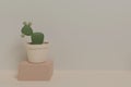 Prickly pear 3D design, pastel colors