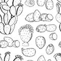 Prickly pear fruit. Edible cactus.Vector pattern