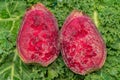 Prickly Pear fruit interior cross section closeup on green kale