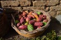 Prickly pear fruits Royalty Free Stock Photo