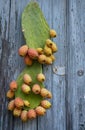 prickly pears - fichi d`india Royalty Free Stock Photo