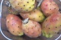 Prickly pears fruit Royalty Free Stock Photo