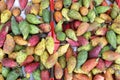 Prickly pears market vegetables food vegetarian Royalty Free Stock Photo