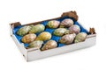 Prickly Pears Ordered in White Fruit Box in Blue Plastic, Isolated on White Background