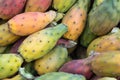 Prickly pears of the variety called bastardoni on the table of a Royalty Free Stock Photo