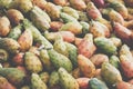 Prickly pears of the variety called bastardoni on the table of a Royalty Free Stock Photo