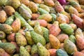 Prickly pears of the variety called bastardoni on the table of a Royalty Free Stock Photo