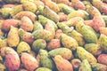 Prickly pears of the variety called bastardoni on the table of a Royalty Free Stock Photo