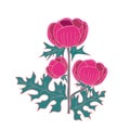 sweet Prickly poppy flower in batik style hand drawn vector